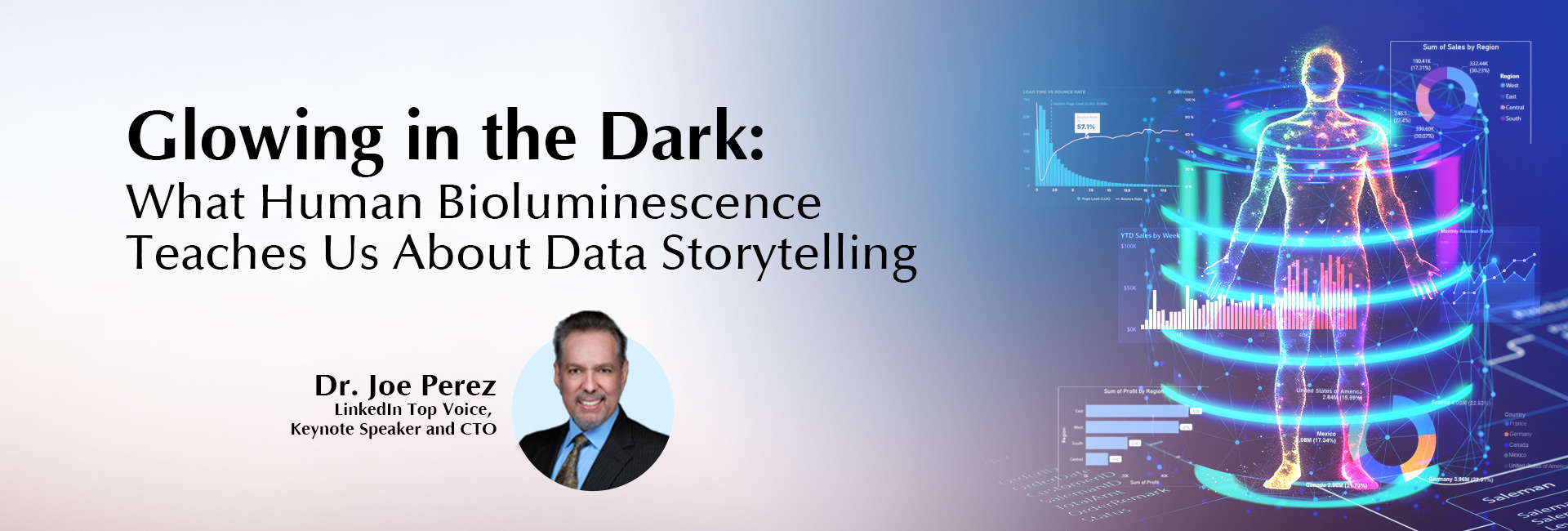 Website_DrJoeLeanDataGovernance