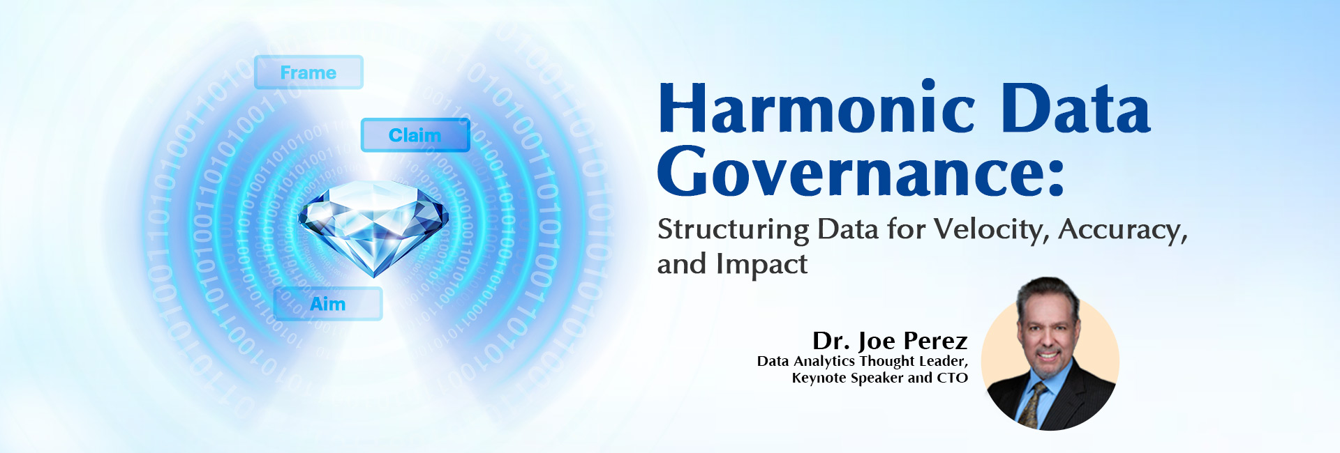Website_DrJoeLeanDataGovernance