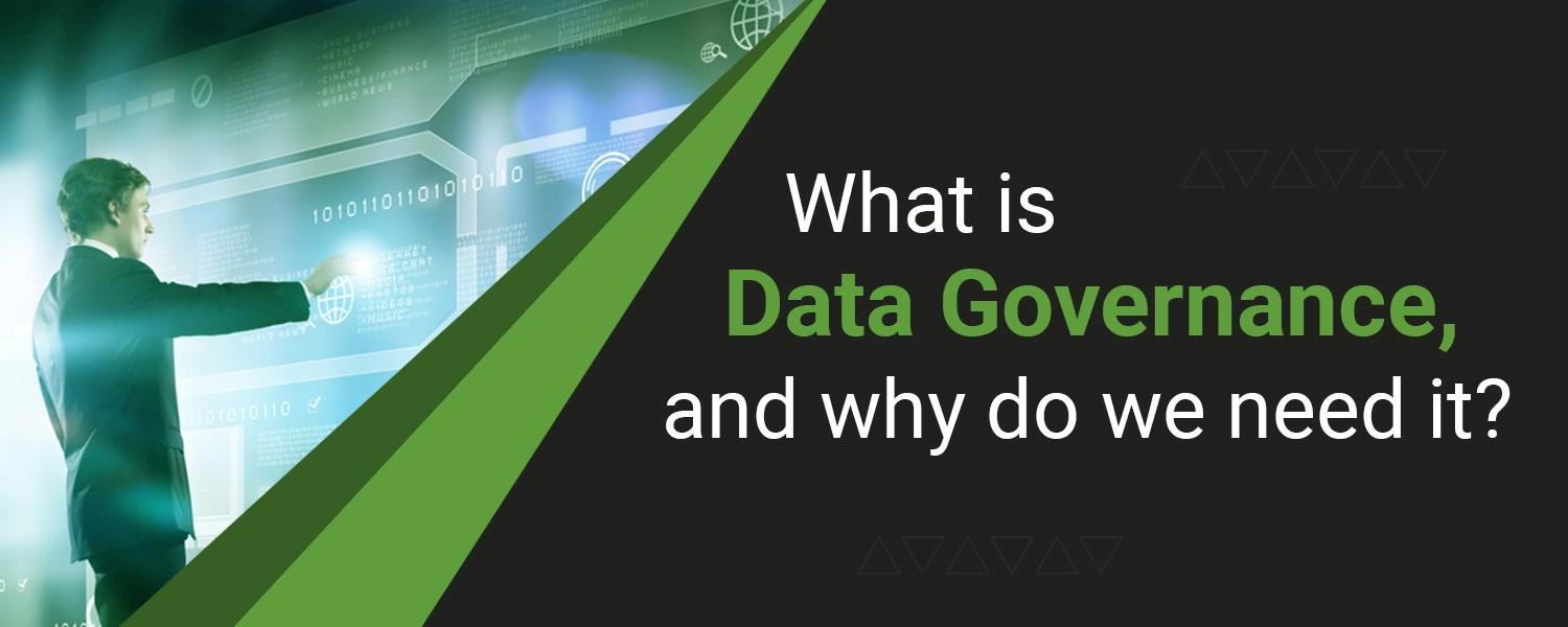 What is Master Data Governance