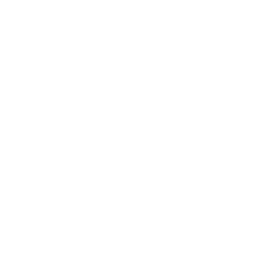 Inventory Icon
