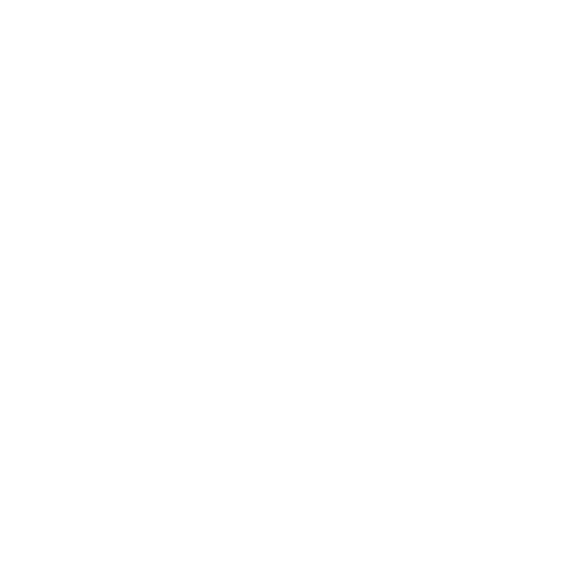 ROI Icon