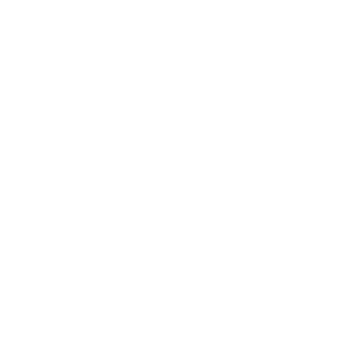 Asset Lifespan